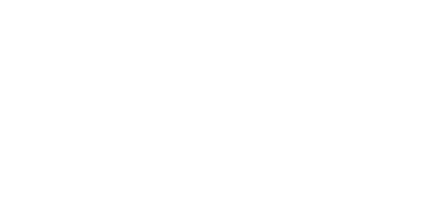 cisa-logo-white